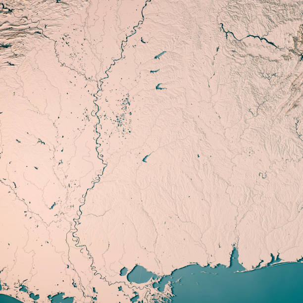 istock Mississippi State USA 3D Render Topographic Map Neutral 844019684