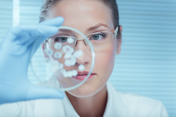Laboratory Scientist working in laboratory pharmaceutical factory stock pictures, royalty-free photos & images