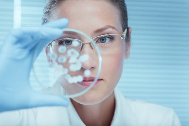 laboratory - science women female laboratory imagens e fotografias de stock