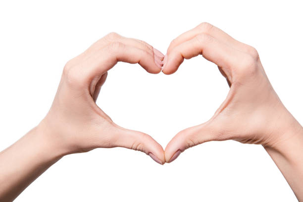 istock heart sign of hands 844020690