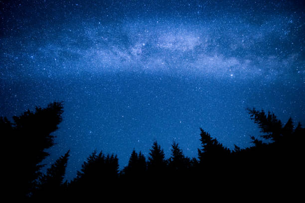 istock Milky Way above the night mountain forest 844024886