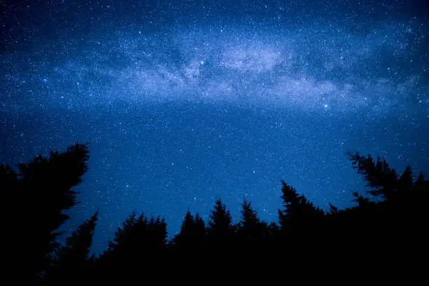 Photo of Milky Way above the night mountain forest
