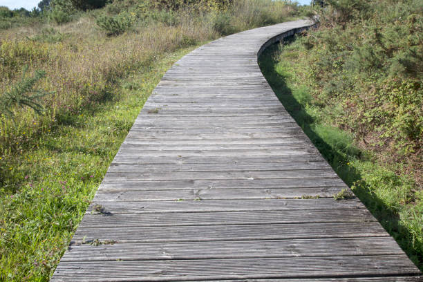 istock Footpath at Valdovino Beach, Galicia 844027862