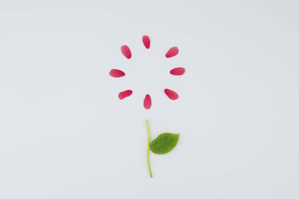 istock Red petal and green leaf and branch 844030678