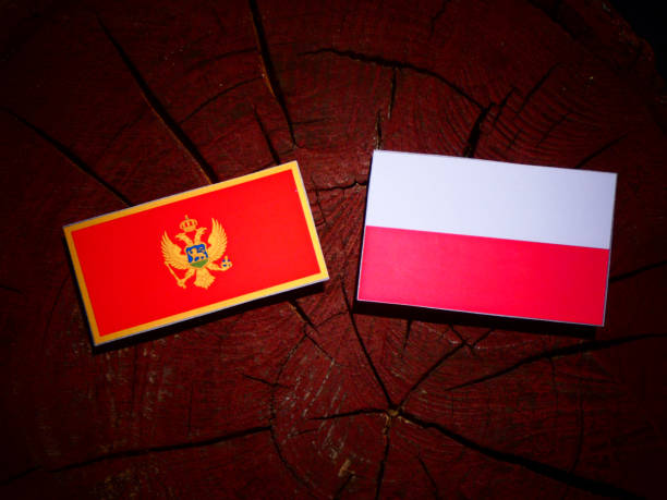 istock Montenegrin flag with Polish flag on a tree stump isolated 844031210