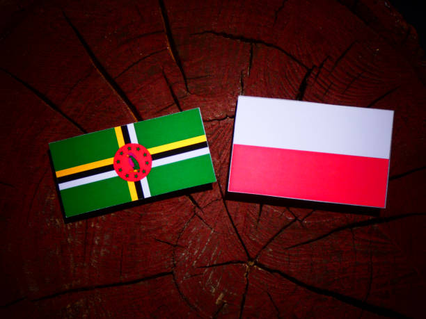 istock Dominica flag with Polish flag on a tree stump isolated 844036176