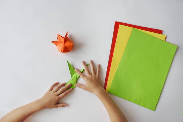 istock lesson of origami 844038330