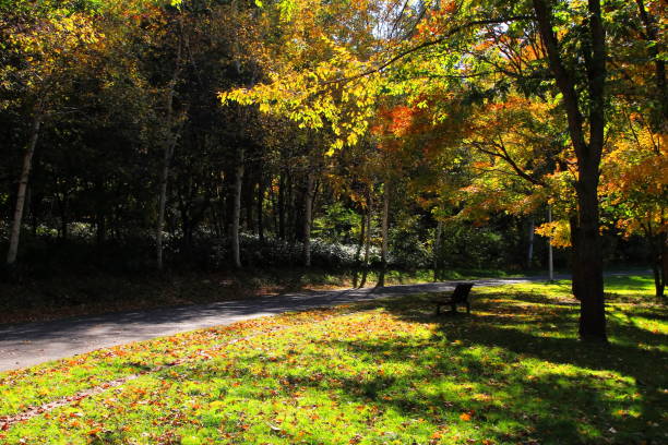istock Park in Sapporo in autumn 844038728