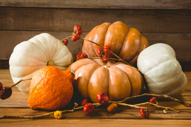 istock Pumpkins with plant stems on wooden table 844039470