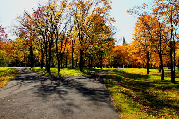 istock Park in Sapporo in autumn 844039664