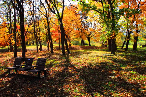istock Park in Sapporo in autumn 844046114