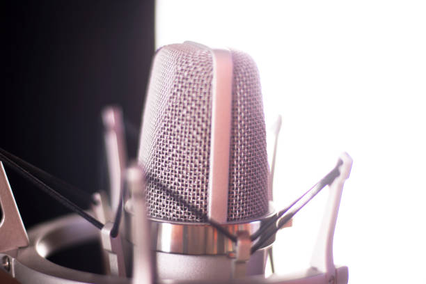 istock Studio vocal large diaphragm condenser voiceover recording microphone with built in antipop 844046738
