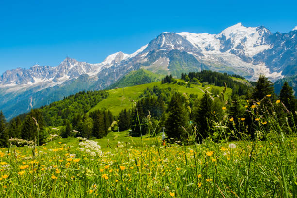 mont blanc - chamonix fotografías e imágenes de stock