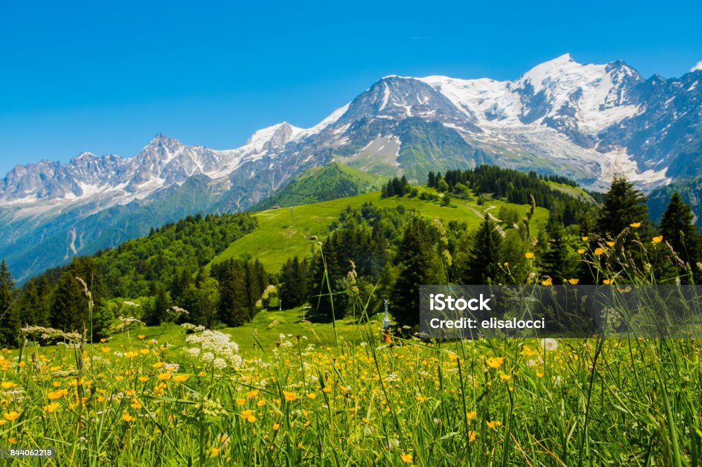 Mont Blanc View of Mont Blanc from Col du Voza, Les Houches, France European Alps Stock Photo