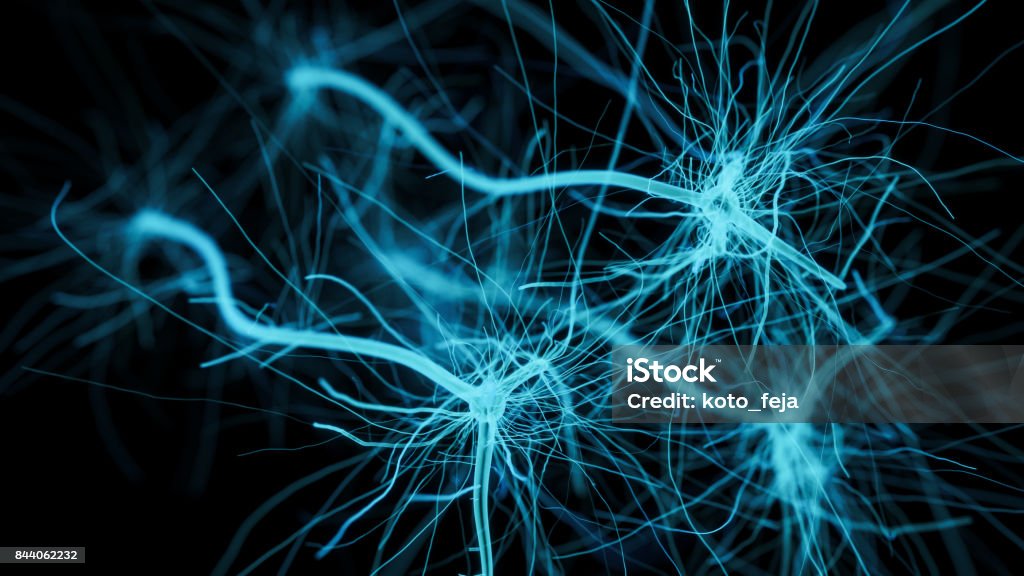 Neuron cell network Neuron cell network - 3d rendered abstract horizontal image Nerve Cell Stock Photo