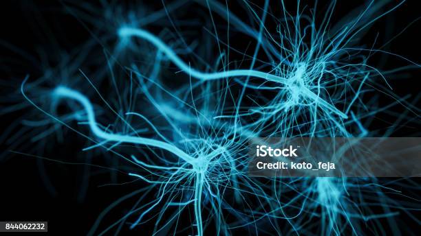 Neuron Cell Network Stock Photo - Download Image Now - Nerve Cell, Human Nervous System, Synapse