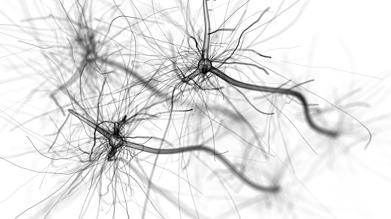 Neuron cell network - 3d rendered abstract horizontal image on white background