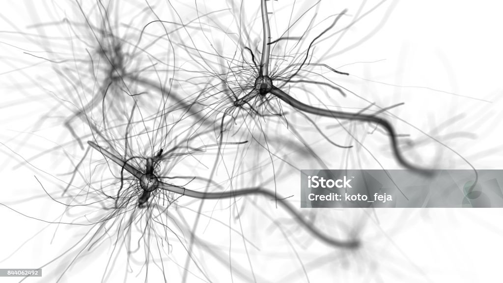 Neuron cell network on white Neuron cell network - 3d rendered abstract horizontal image on white background White Background Stock Photo