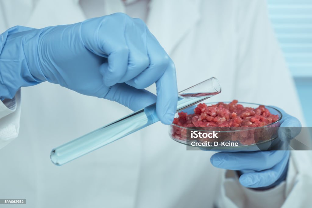 Laboratory Scientist testing raw meat in laboratory Meat Stock Photo