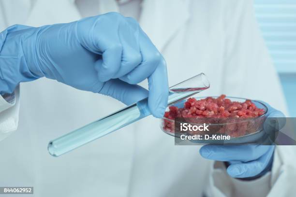Laboratory Stock Photo - Download Image Now - Meat, Laboratory, Test Tube