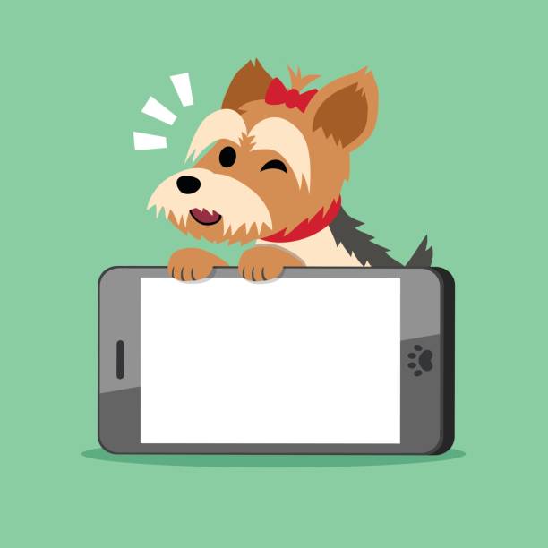 istock Cartoon character yorkshire terrier dog and big smartphone 844063328