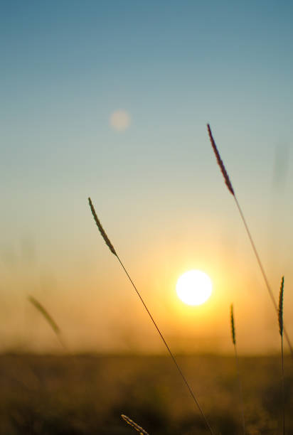 istock The sky and sunset with the field 844068860