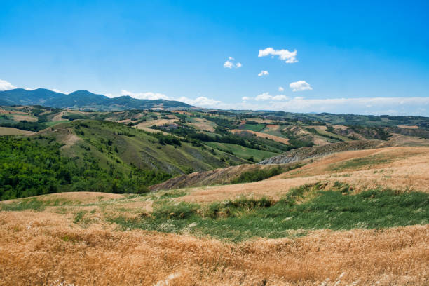 istock Rivalta di Lesignano (Parma, Italy): summer landscape 844069222