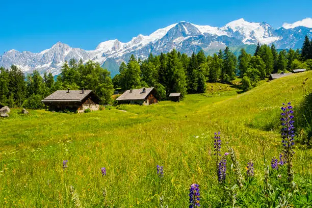 View of Mont Blanc from Charousse, Les Houches, France