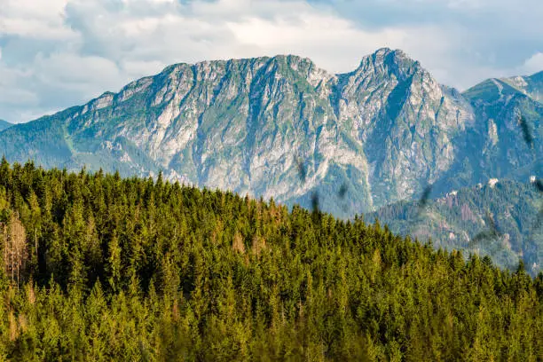 Giewont Mountain, Inspiring Mountains Landscape, beautiful day in summer Tatras, flowers and mountain ridge over blue sky in Zakopane, Poland