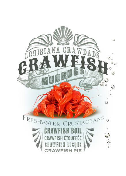 nowaorlea - crayfish new orleans cajun food louisiana zdjęcia i obrazy z banku zdjęć