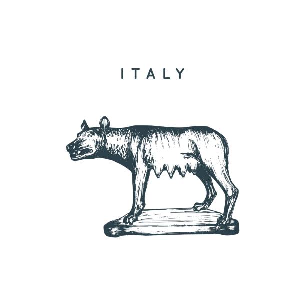 카피 톨 리노 늑대 조각 드로잉입니다. 로마 관광 기호입니다. 벡터는 이탈리아 명소의 스케치 그림 손 - capitol stock illustrations