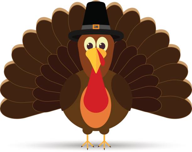 illustrazioni stock, clip art, cartoni animati e icone di tendenza di tacchino stile piatto - turkey thanksgiving farm meal