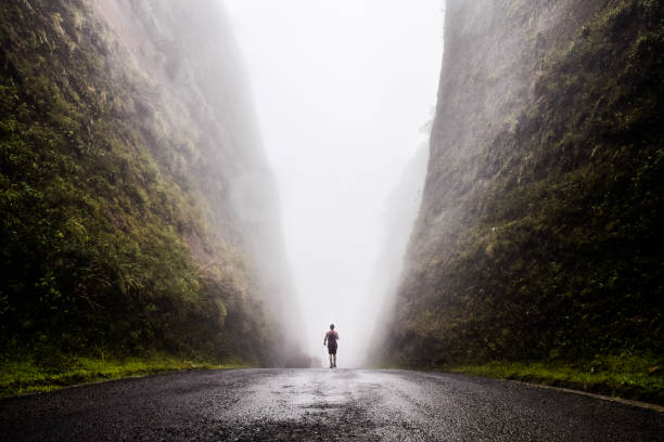 それら、urubici、ブラジルの南、ブラジル、南アメリカの間の雲を通過しながら岩の 2 つの巨大な崖の間を歩いて、未知の世界へ歩きます。 - road landscape journey road trip ストックフォトと画像