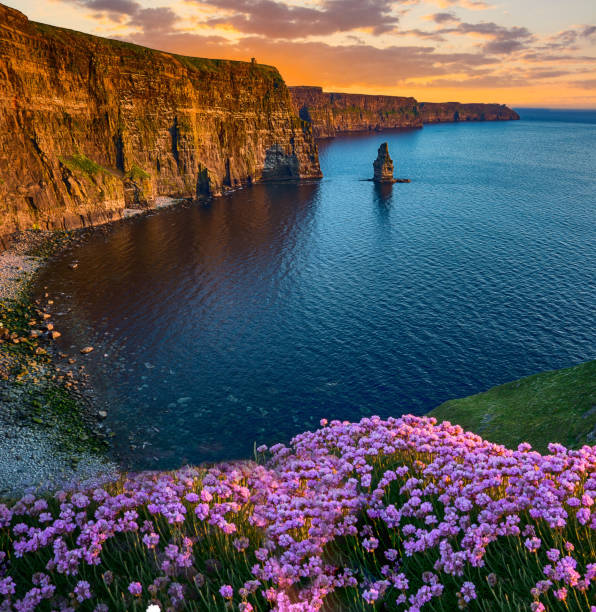 beautiful sunset from the cliffs of moher in county clare, ireland. the cliffs of moher is one of irelands top tourism attractions along the wild atlantic way - republic of ireland cliffs of moher panoramic cliff imagens e fotografias de stock