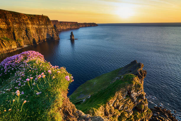 sunset at the cliffs of moher in county clare, ireland. beautiful evening scenic view from the wild atlantic way epic sunset at the cliffs of moher in county clare, ireland. beautiful evening scenic view from the wild atlantic way dublin republic of ireland photos stock pictures, royalty-free photos & images