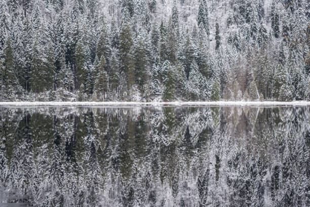 istock Winter landscape in Bavaria, Arbersee 844103240