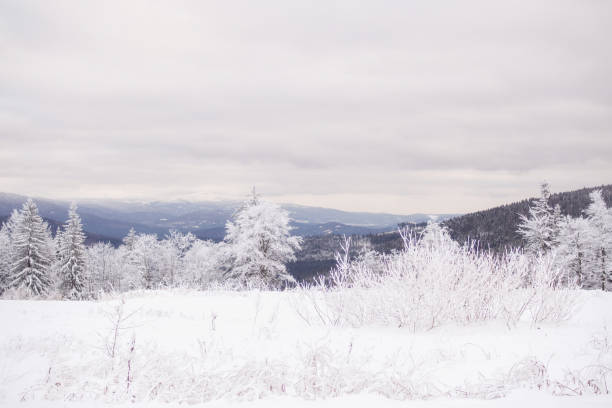 istock Winter landscape in Bavaria 844103318