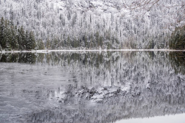 istock Winter landscape in Bavaria, Arbersee 844103452