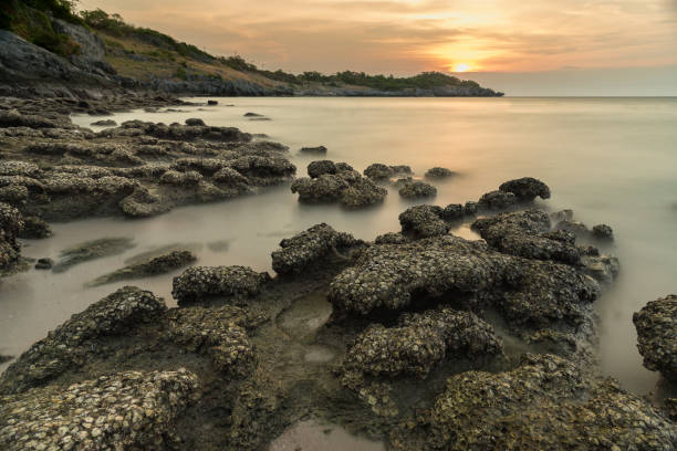 istock Stone in sea and wave on sunset time with long exposure at Ko Sichang District Chonburi, Thailand. 844105990