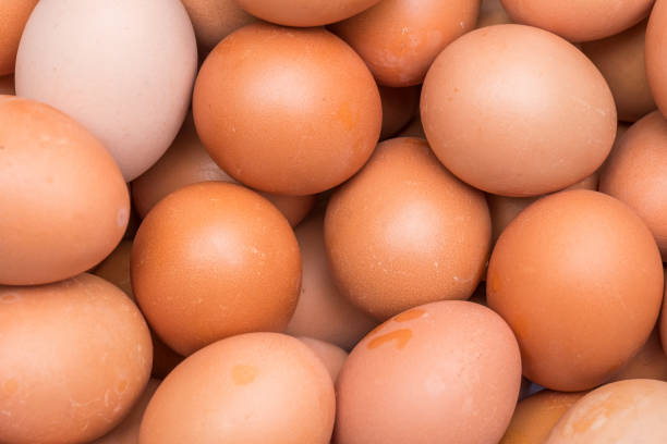 istock close-up of chicken brown egg view from top 844107264