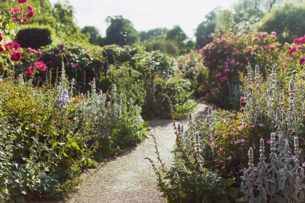 istock beautiful english garden in summer 844111174