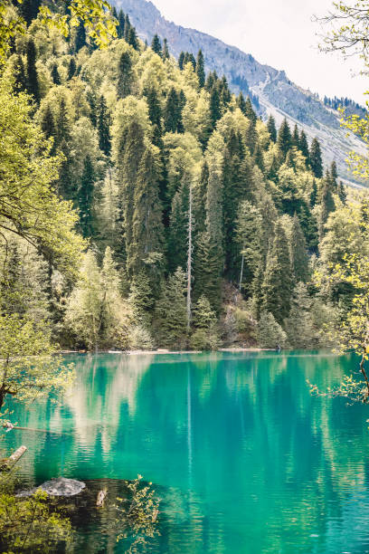 istock Mountain lake view and forest with mountains 844114396