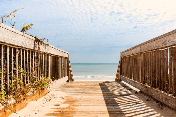 istock Wooden walkway leading to the beach 844121580