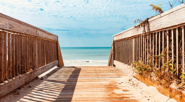 istock Wooden walkway leading to the beach 844121734