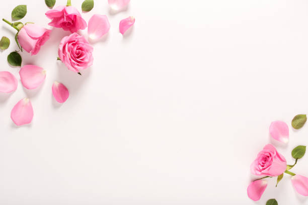 istock Roses and leaves top view 844121856