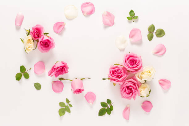 istock Roses and leaves top view 844121858