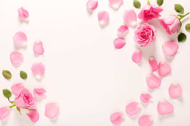 istock Roses and leaves top view 844121874