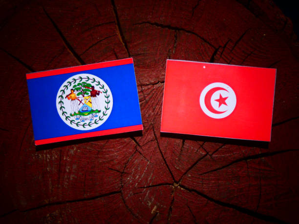 istock Belize flag with Tunisian flag on a tree stump isolated 844124460