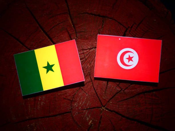 istock Senegal flag with Tunisian flag on a tree stump isolated 844126012