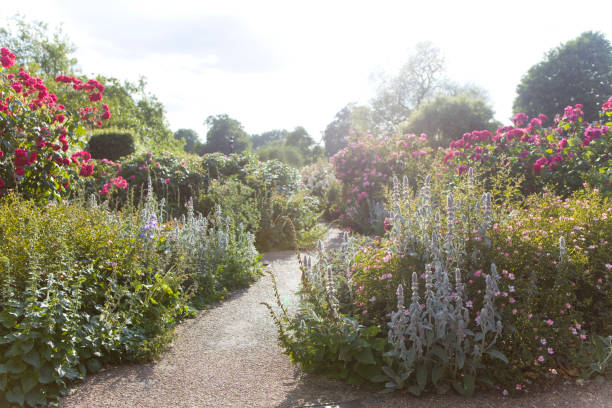 istock beautiful english garden in summer 844126910